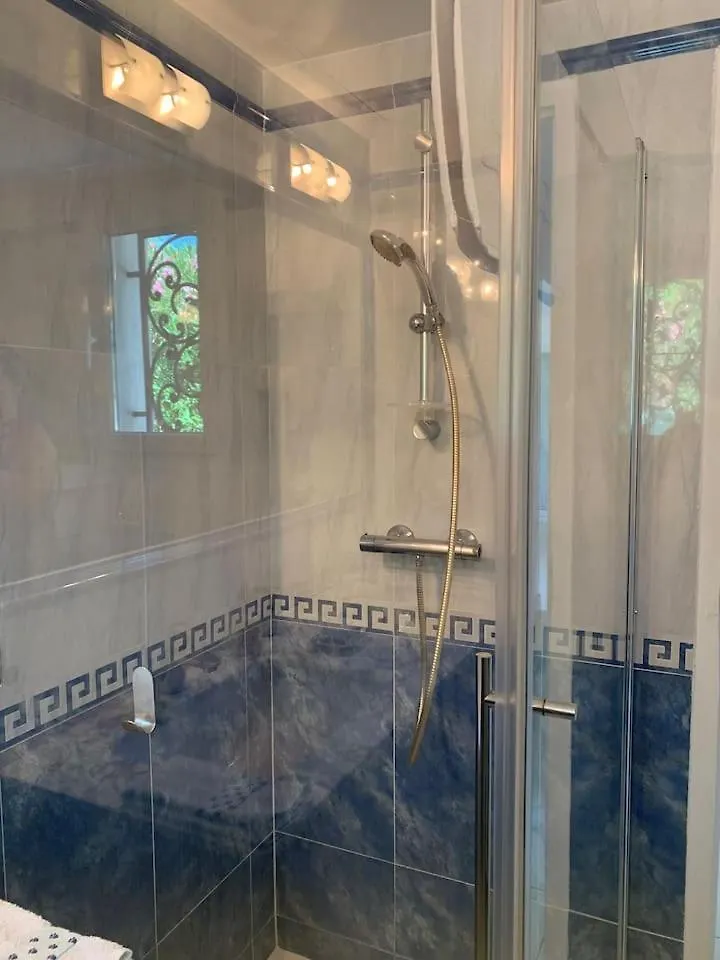 Cannes Centre Villa Piscine Spa